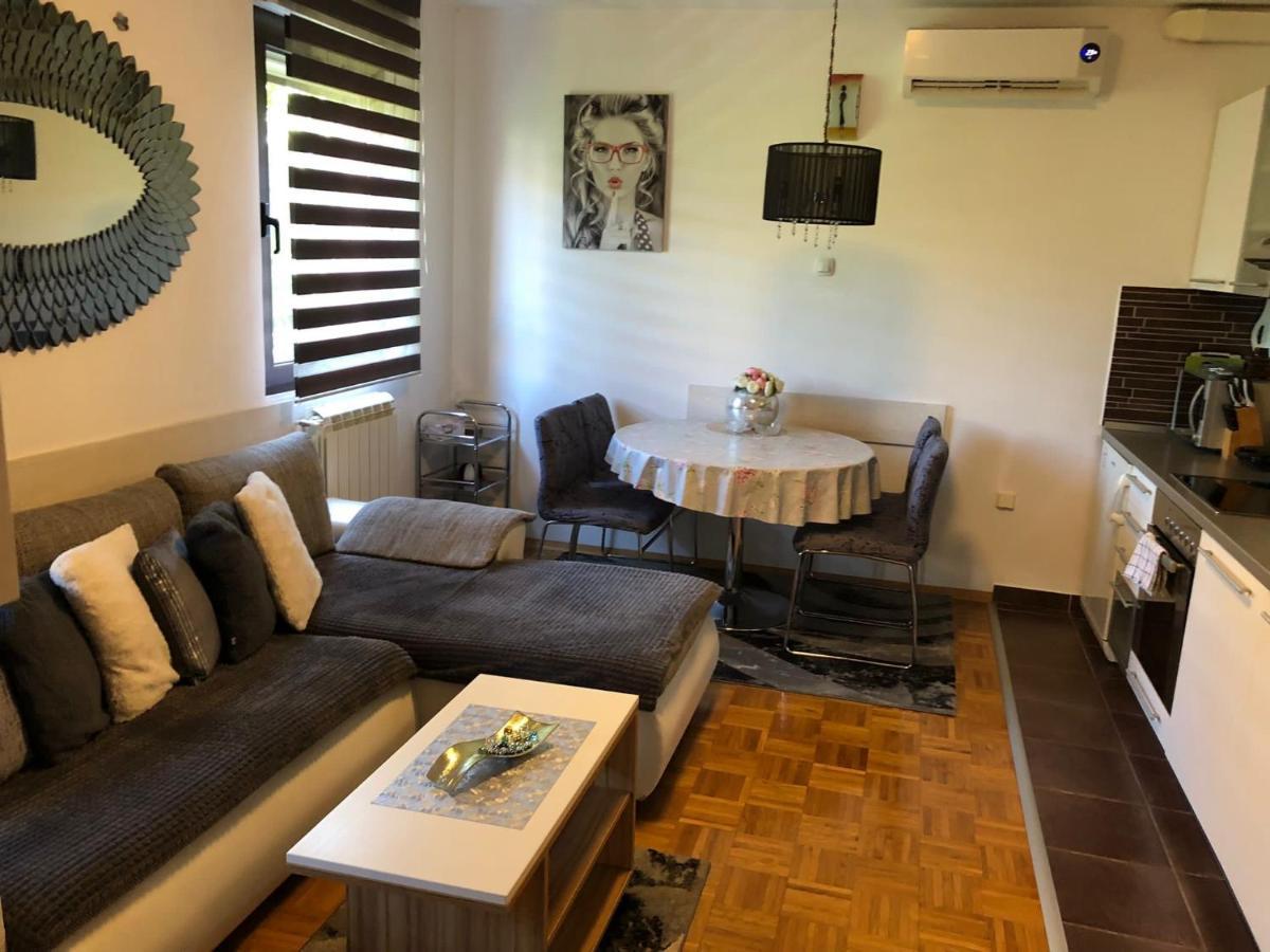 Apartment Sweet Dreams-Close To Zoo,Dinamo Stadium And The City Center Ζάγκρεμπ Εξωτερικό φωτογραφία